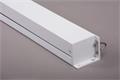 Projection screen, wall, manual 1:1, 240x240cm, VICTORIA VISUAL